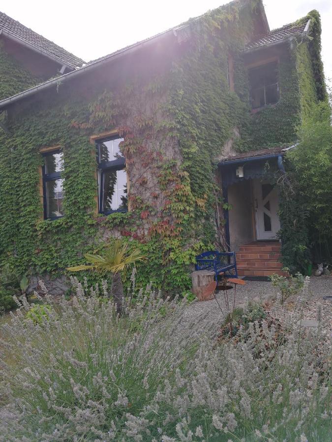 Yourhome-Pm Michendorf Exterior photo
